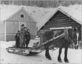 Japanese Canadian family riding a log sledge in the winter.